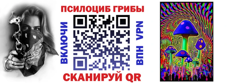 Псилоцибиновые грибы Psilocybe  Туринск 