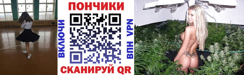 Бошки Шишки марихуана  Туринск 